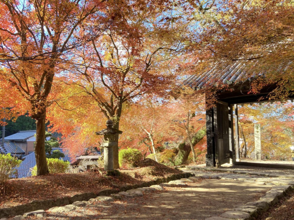 九州紅葉｜相片來源：福岡縣觀光聯盟