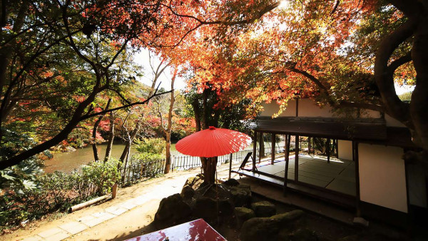 九州紅葉｜相片來源：御船心樂園官網