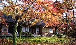 九州紅葉｜相片來源：ANA、nippon.com