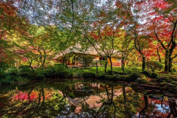 九州紅葉｜相片來源：ANA、nippon.com