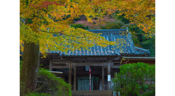 九州紅葉｜相片來源：佐賀県観光連盟