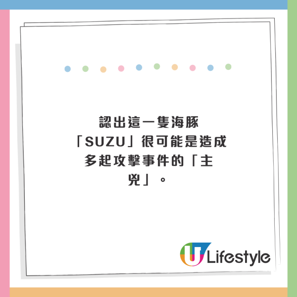 日本海豚被指控「性侵人類」攻擊48人！背後原因令人極心酸 