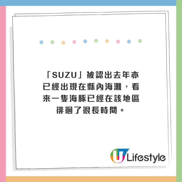 日本海豚被指控「性侵人類」攻擊48人！背後原因令人極心酸 