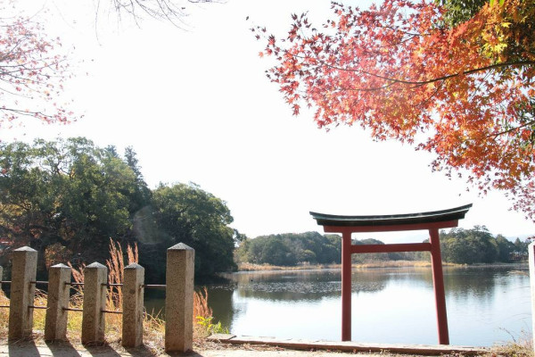 九州紅葉｜相片來源：中津耶馬溪觀光協會