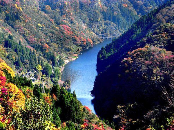 九州紅葉｜相片來源：熊本縣官網(Kumamoto offical)