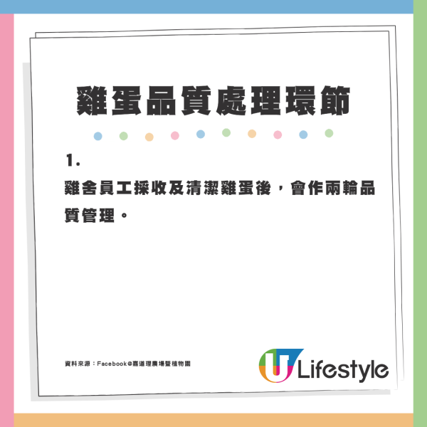 5個不為人知的雞蛋真相！盒裝雞蛋大小相似有原因？農場解構差異可達50%