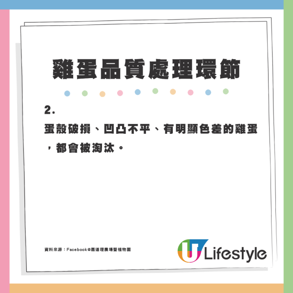 5個不為人知的雞蛋真相！盒裝雞蛋大小相似有原因？農場解構差異可達50%