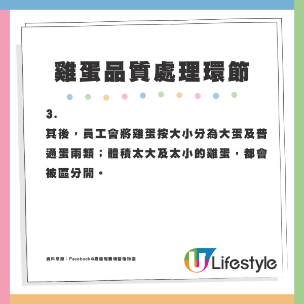 5個不為人知的雞蛋真相！盒裝雞蛋大小相似有原因？農場解構差異可達50%