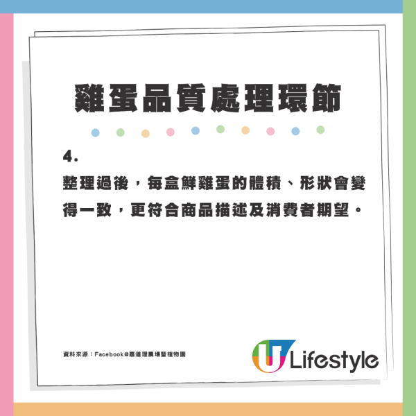 5個不為人知的雞蛋真相！盒裝雞蛋大小相似有原因？農場解構差異可達50%