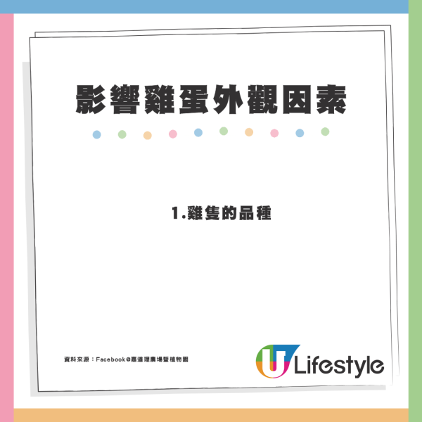 5個不為人知的雞蛋真相！盒裝雞蛋大小相似有原因？農場解構差異可達50%