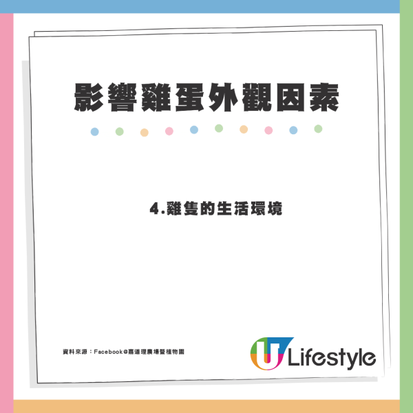 5個不為人知的雞蛋真相！盒裝雞蛋大小相似有原因？農場解構差異可達50%