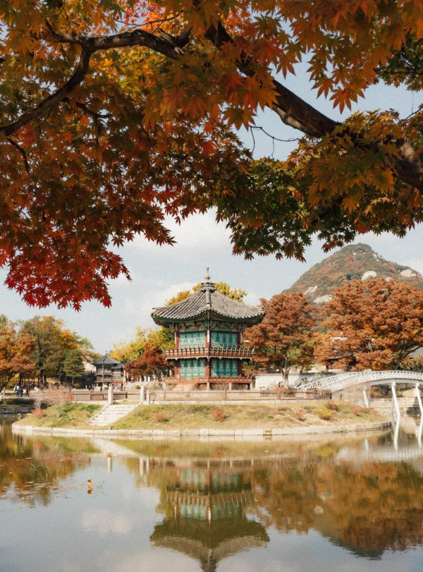 韓國紅葉｜相片來源：Visit Seoul Net