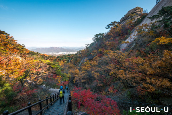 韓國紅葉｜相片來源：首爾市政府