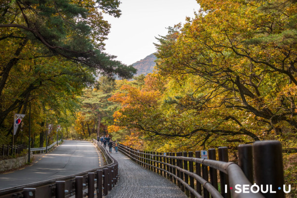 韓國紅葉｜相片來源：首爾市政府