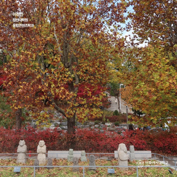 韓國紅葉｜相片來源：Facebook@梨花女子大學