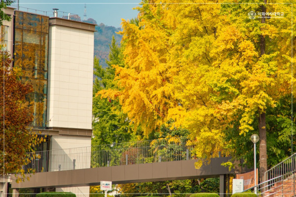 韓國紅葉｜相片來源：Facebook@梨花女子大學