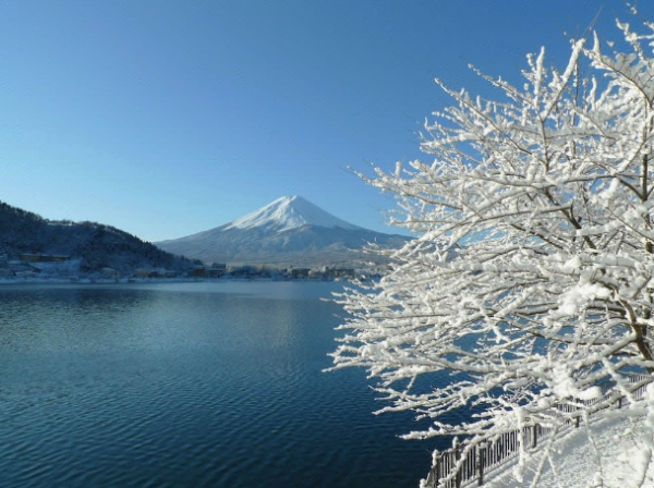 逾16大富士山河口湖酒店推薦！溫泉酒店/私人風呂/一泊二食 