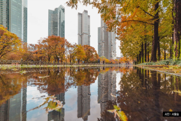 韓國紅葉｜相片來源：韓國觀光局