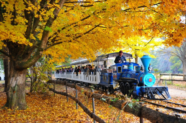 韓國紅葉｜相片來源：VisitKorea.com