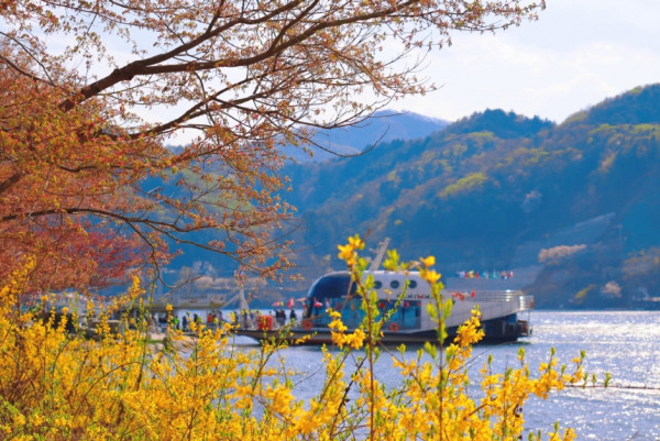 韓國紅葉｜相片來源：VisitKorea.com