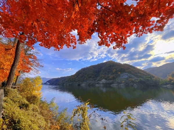 韓國紅葉｜相片來源：VisitKorea.com