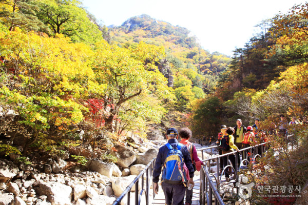 韓國紅葉｜相片來源：Visitkorea.com