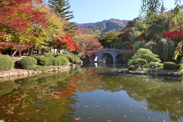 韓國紅葉｜相片來源：Visitkorea.com