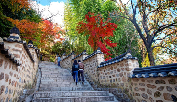 韓國紅葉｜相片來源：Visitbusan.com