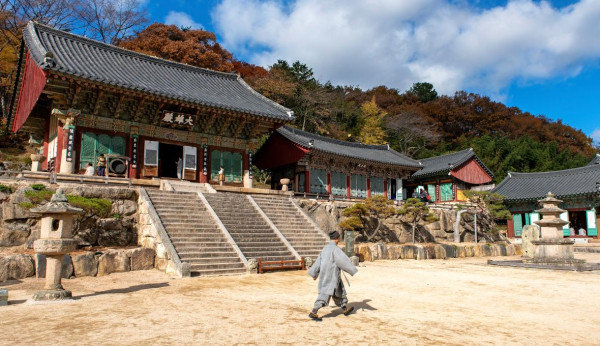 韓國紅葉｜相片來源：Visitbusan.com