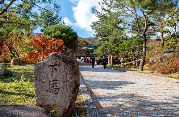 韓國紅葉｜相片來源：Visitbusan.com