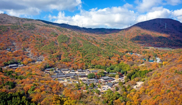 韓國紅葉｜相片來源：Visitbusan.com