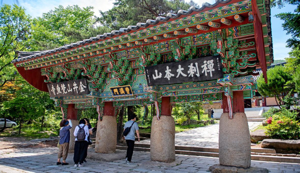 韓國紅葉｜相片來源：Visitbusan.com