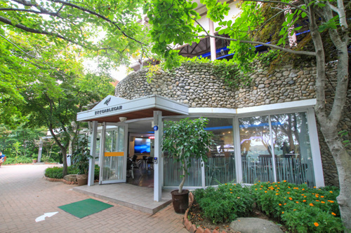 韓國紅葉｜相片來源：Visitkorea.com