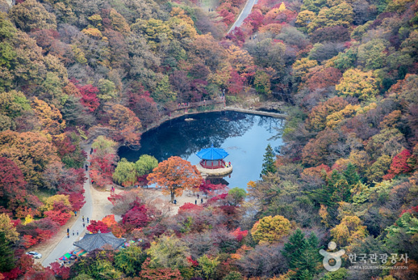 韓國紅葉｜相片來源：Visitkorea.com