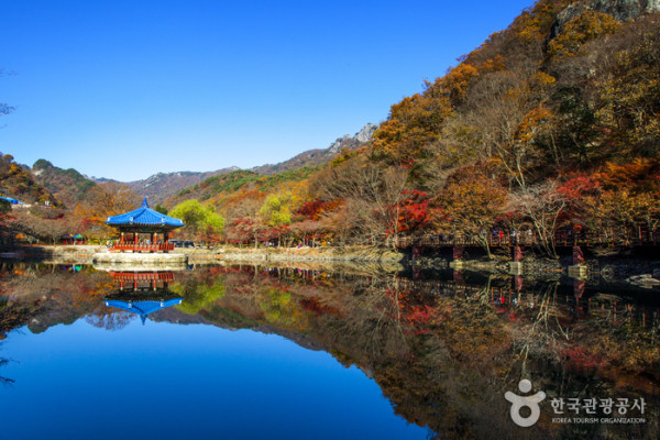 韓國紅葉｜相片來源：Visitkorea.com