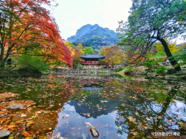 韓國紅葉｜相片來源：Visitkorea.com