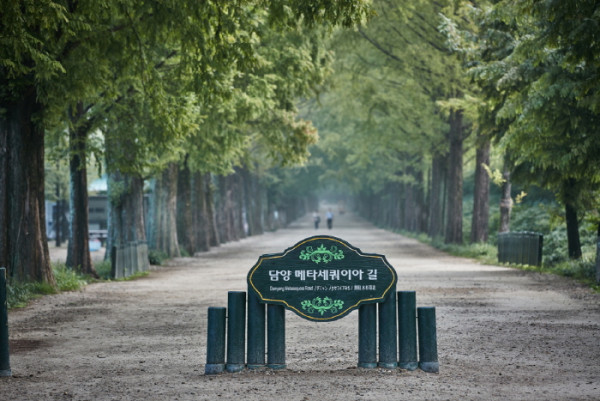 韓國紅葉｜相片來源：visitkorea