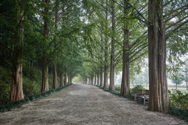 韓國紅葉｜相片來源：visitkorea