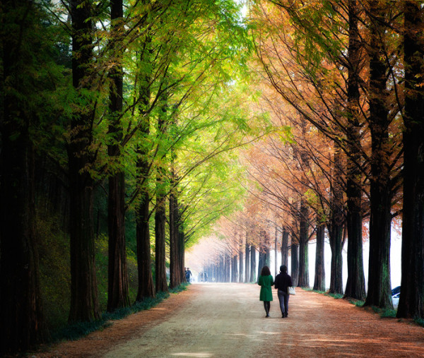 韓國紅葉｜相片來源：visitkorea