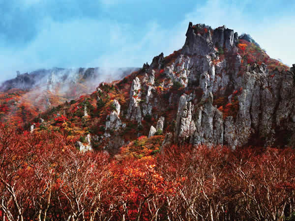 韓國紅葉｜相片來源：韓國旅遊網