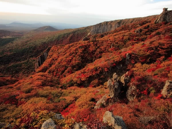韓國紅葉｜相片來源：韓國旅遊網