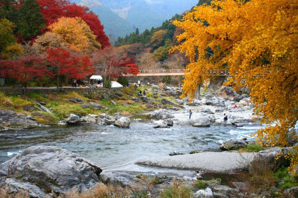 2025東京紅葉預測。圖片來源：fujiyama-navi.jp、sotoasobi、jalan.net、muragon、yamahack、renstablog、discovernippon、jorudan、紫櫻的天空@小紅書、我是夏涼@小紅書、六食@小紅書、金英學@小紅書、ATM.24@小紅書、Mio@小紅書、懶人鞋的吃喝玩樂@小紅書、熹愉徐@小紅書、啾醬_@小紅書、不辣的皮特@小紅書