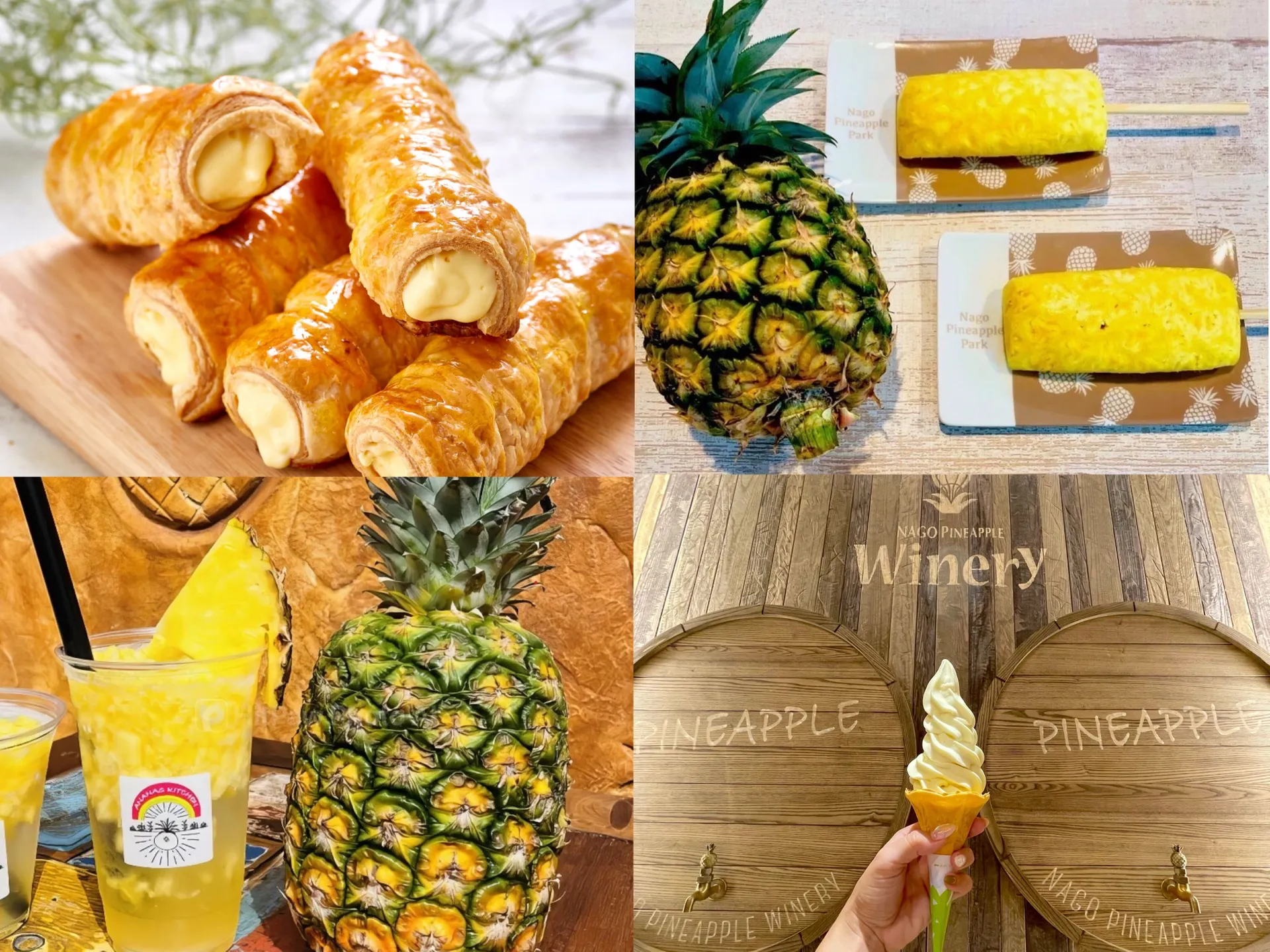 最受歡迎日本遊樂園|名護菠蘿園