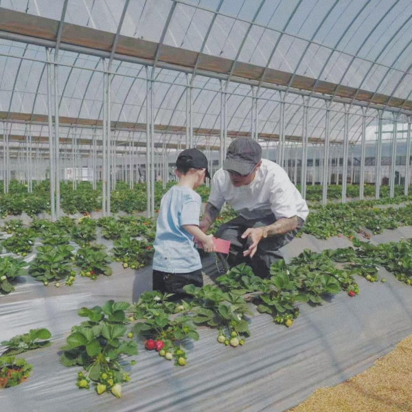 余文樂老婆王棠云被指搭飛機扮傻搶位 IG發文道歉 澄清顧囡心切並非有意 