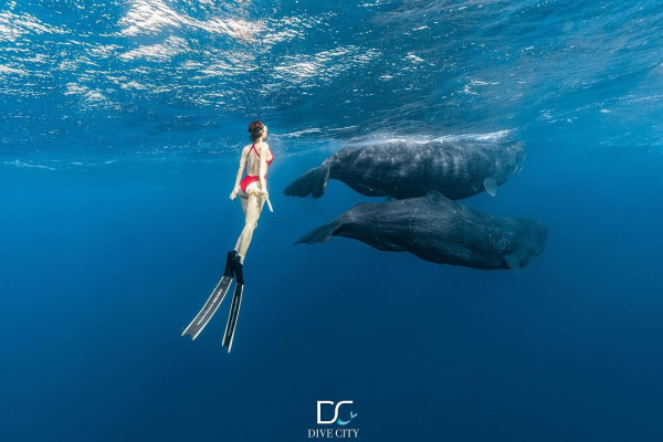 陳凱琳鄭嘉穎帶3個囝囝去泰國!著全紅色家庭裝勁溫馨!