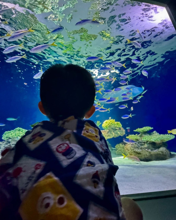 何雁詩美國旅行曬老公視角 滑雪相竟撞樣《愛回家》小花？ 