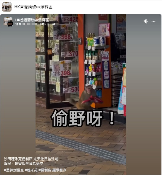 馬騮現身沙田便利店偷零食 手法純熟得手速逃網民：黑悟空下山