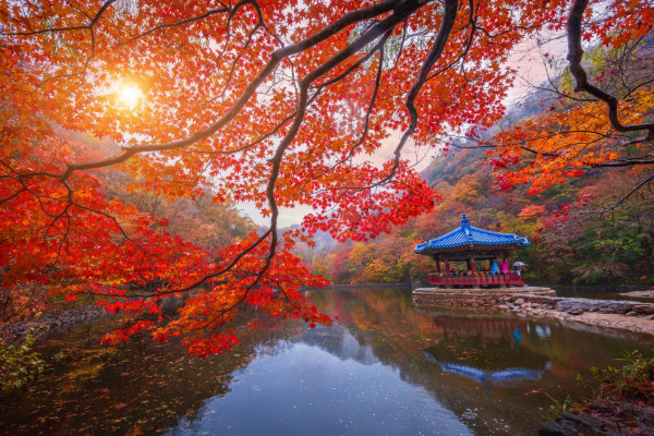 【自遊攻略】賞非一般內藏山紅葉美景 