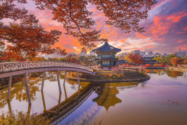 【自遊攻略】賞非一般內藏山紅葉美景 