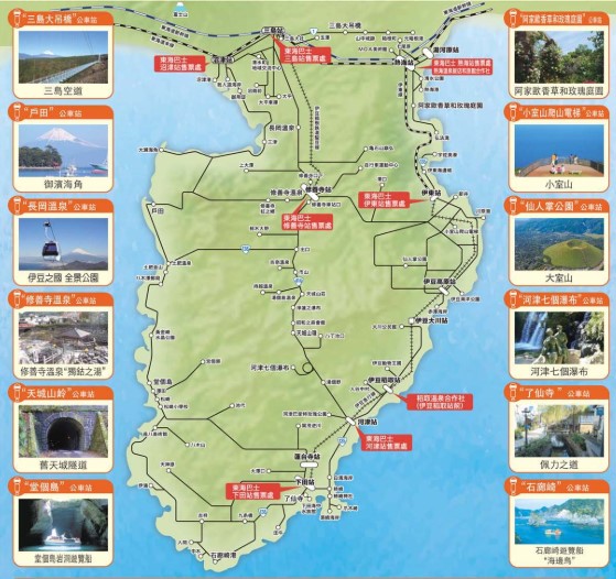  伊豆半島 （圖片︰東海巴士）